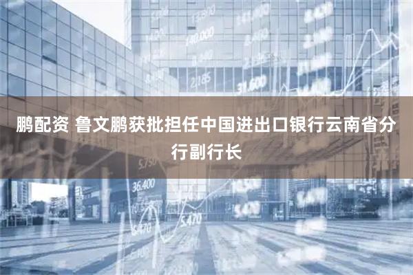 鹏配资 鲁文鹏获批担任中国进出口银行云南省分行副行长
