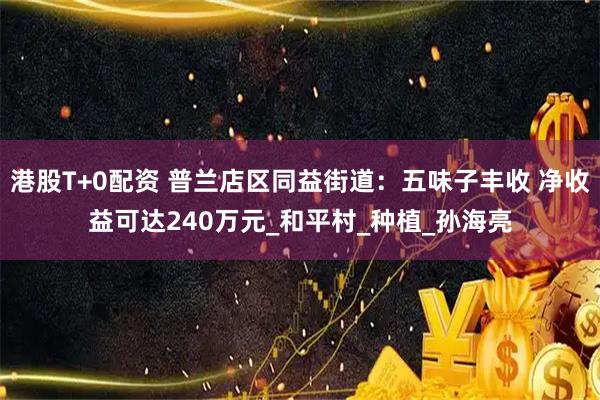 港股T+0配资 普兰店区同益街道:五味子丰收 净收益可达240万元_和平村_种植_孙海亮
