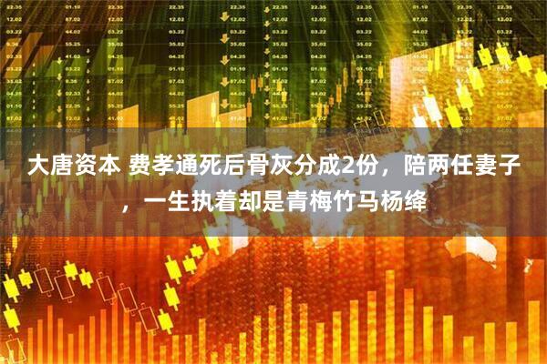 大唐资本 费孝通死后骨灰分成2份，陪两任妻子，一生执着却是青梅竹马杨绛