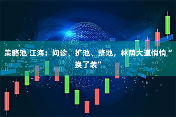 策略池 江海：问诊、扩池、整地，林荫大道悄悄“换了装”