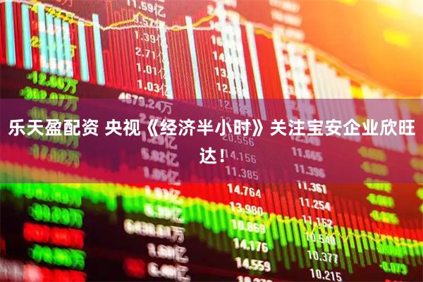 乐天盈配资 央视《经济半小时》关注宝安企业欣旺达！