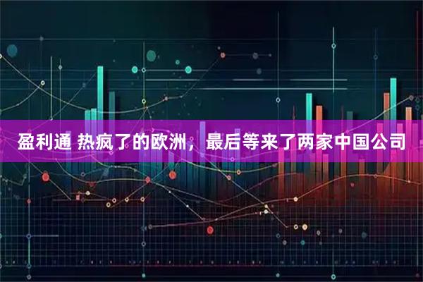 盈利通 热疯了的欧洲，最后等来了两家中国公司